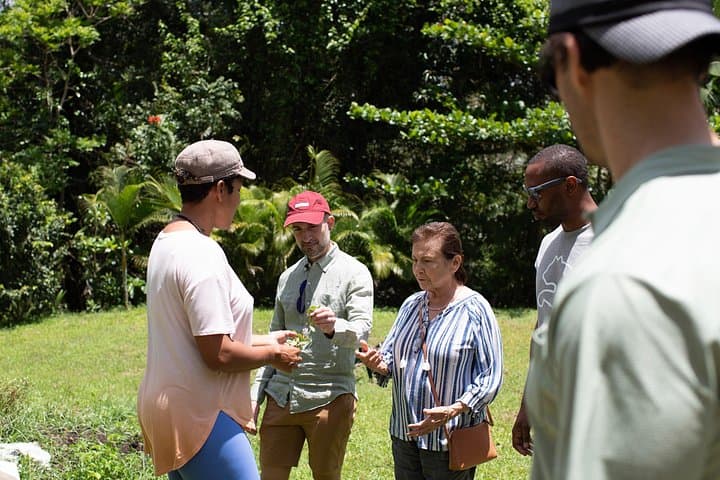 Learning About Medicinal Plants of Puerto Rico: Farm Walk & Remedy Workshop photo 3