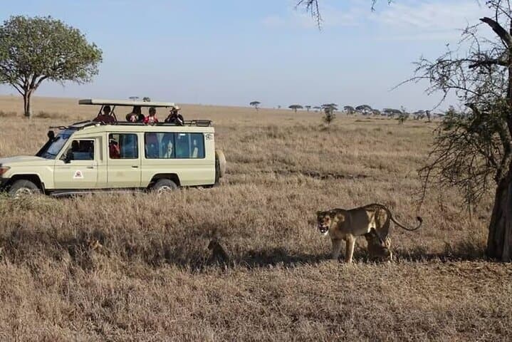 3-day-masai-mara-small-group-4x4-safari photo 5