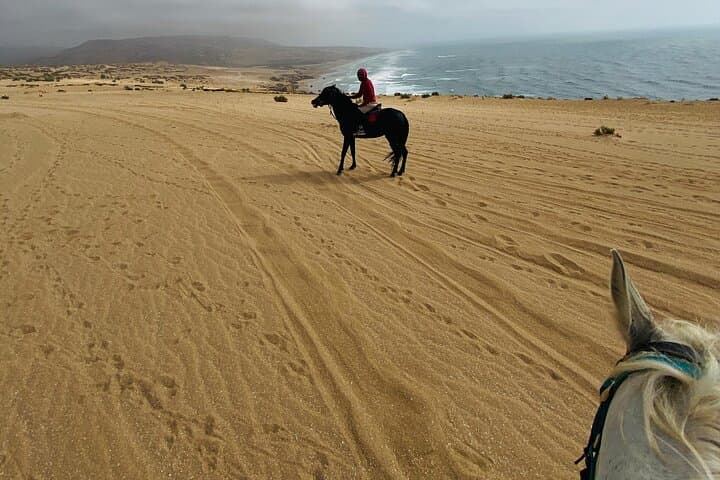 Timlalin Dunes: Camel Ride, Quad Biking & Sandboarding Near Agadir photo 3