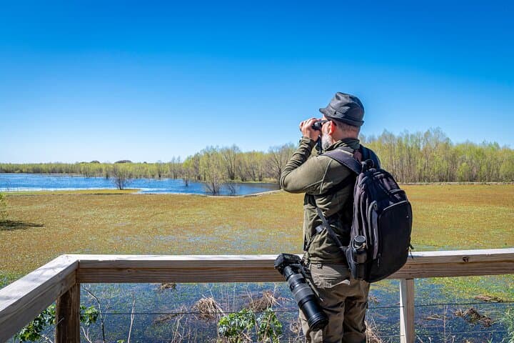 Bird Watching in Costanera Sur Ecological Reserve: Buenos Aires Urban Wildlife Tour