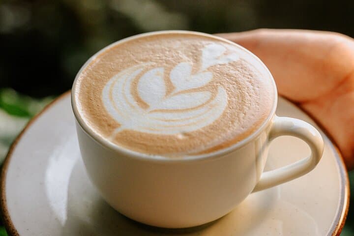 Costa Rica Barista Experience: Roasting, Cupping & Latte Art Workshop in Quepos photo 3