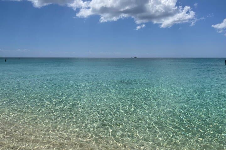 Stingray City & Seven Mile Beach Adventure — Swim with Stingrays and Relax on Grand Cayman's Best Beach photo 4