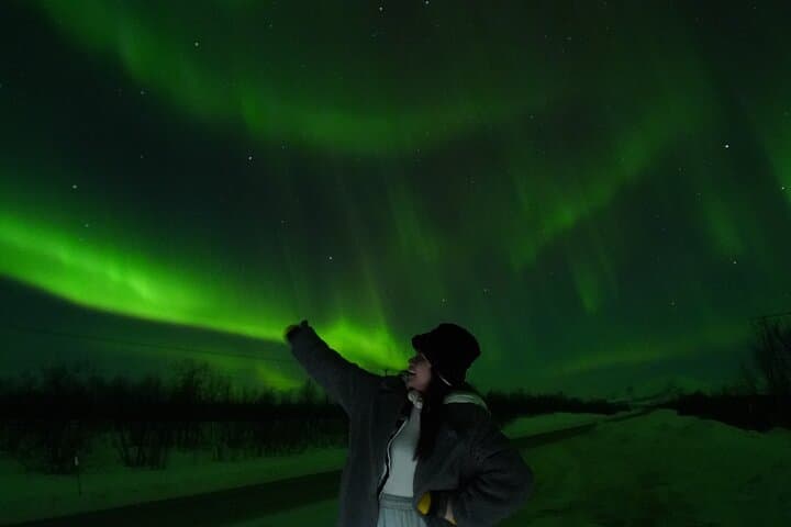 Northern Lights Minibus Hunt to Abisko National Park — Kiruna Aurora Tour Guide photo 4