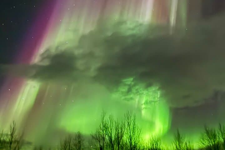 Northern Lights Minibus Hunt to Abisko National Park — Kiruna Aurora Tour Guide