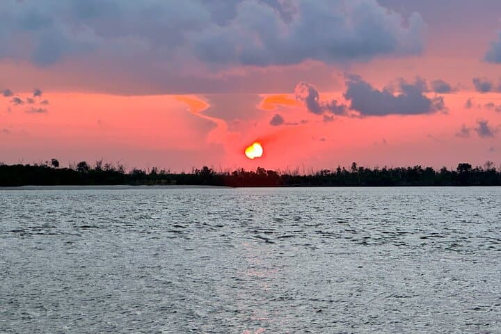Ten Thousand Islands Sunset, Beach & Eco Boat Tour — Naples Mangrove Shelling Excursion