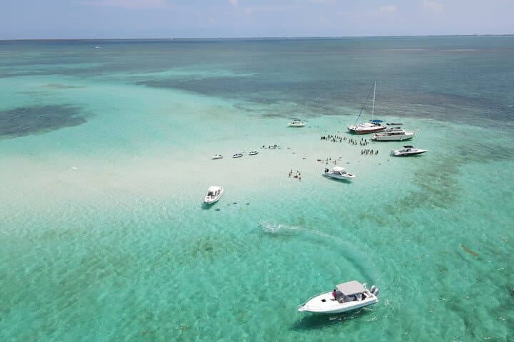 Stingray City & Seven Mile Beach Adventure — Swim with Stingrays and Relax on Grand Cayman's Best Beach photo 6