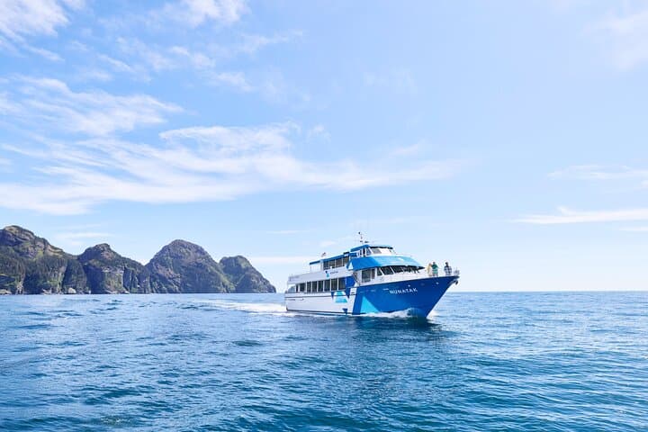 Resurrection Bay Wildlife Cruise — Half-Day Boat Tour from Seward