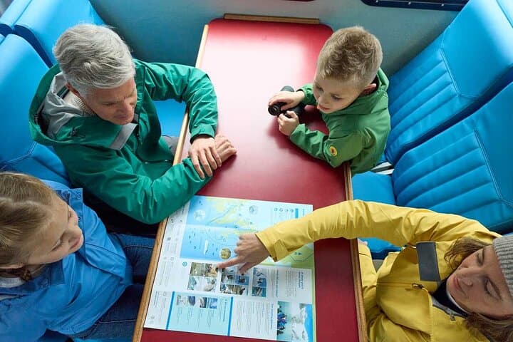 Resurrection Bay Wildlife Cruise — Half-Day Boat Tour from Seward photo 2