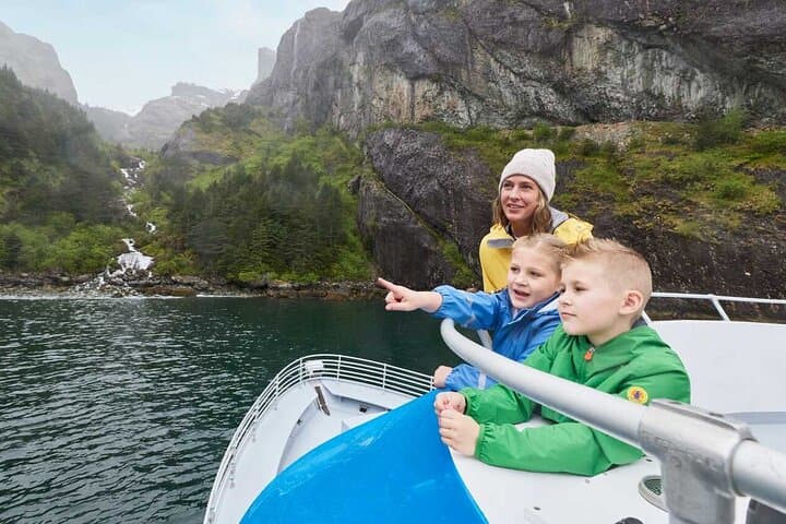 Spring Gray Whale Watching in Resurrection Bay: Half-Day Wildlife Cruise from Seward photo 4