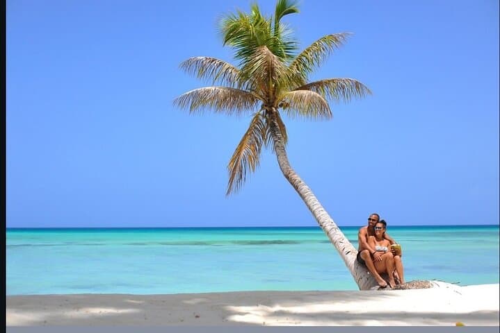 Exclusive Saona Island Day Trip from Punta Cana: Natural Pool, Beaches & Lunch photo 3
