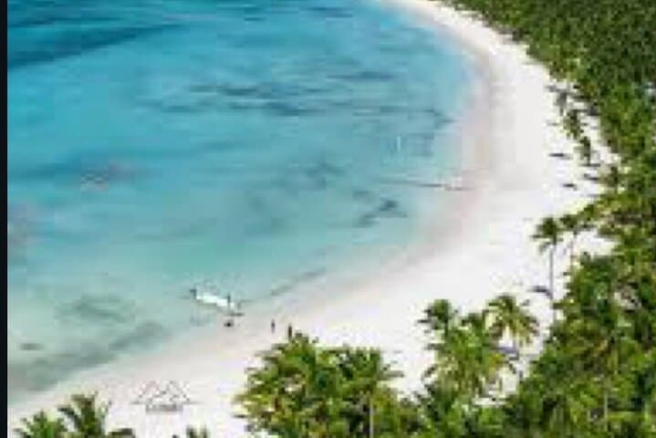 Exclusive Saona Island Day Trip from Punta Cana: Natural Pool, Beaches & Lunch photo 4