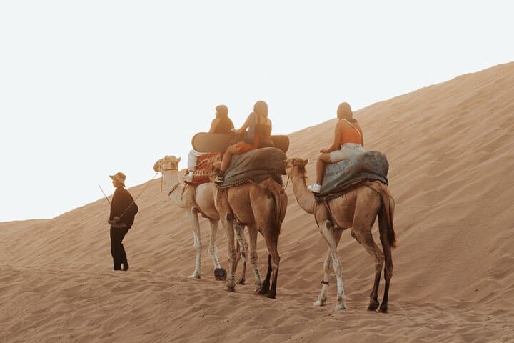 Agadir Timlalin Camel Ride and Tea Picnic in the Dunes photo 2