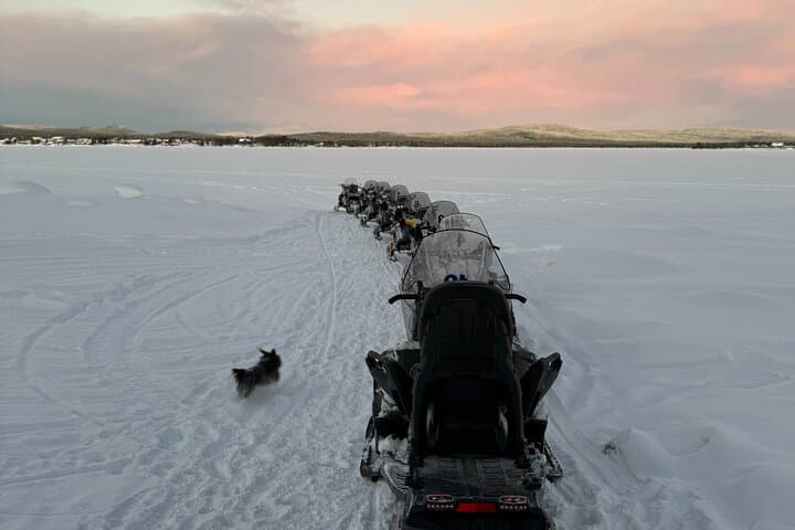 Explore Swedish Lapland: Snowmobile Adventure in Kiruna's Arctic Wilderness photo 5