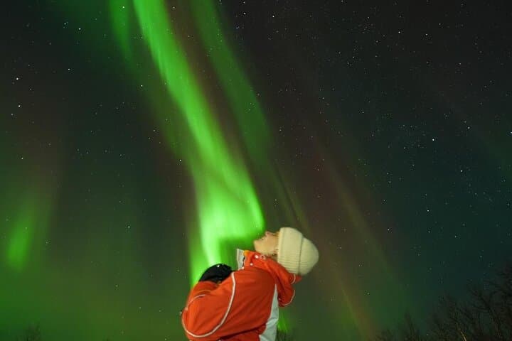 Northern Light Snowmobile Tour in Kiruna: Arctic Night Ride Under the Aurora photo 6