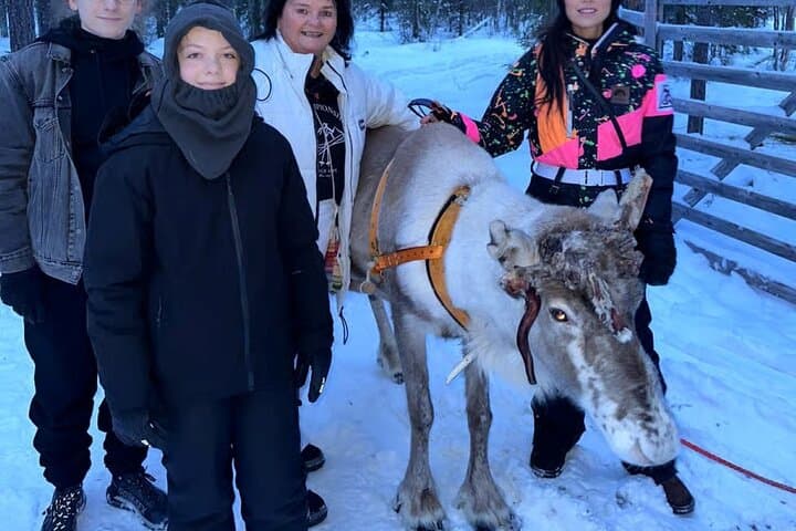Reindeer Sleigh Ride & Husky Kennel Visit in Levi — Sami Cultural Experience photo 4