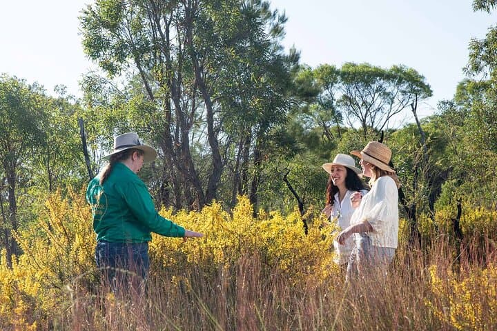 Gurulmundi Wildflower Wonderland Day Tour from Roma
