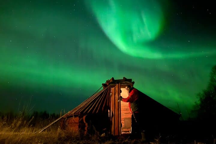 Feed Reindeer and Hunt the Northern Lights: Sámi Reindeer Experience from Kiruna photo 2