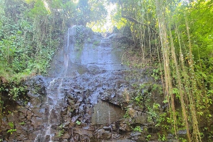 Llanos de Cortés Waterfall and Liberia Day Tour: Hike, Swim & Local Flavors photo 5