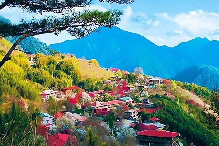 2-Day Smangus Adventure: Ancient Cypress Grove & Atayal Village Stay photo 2