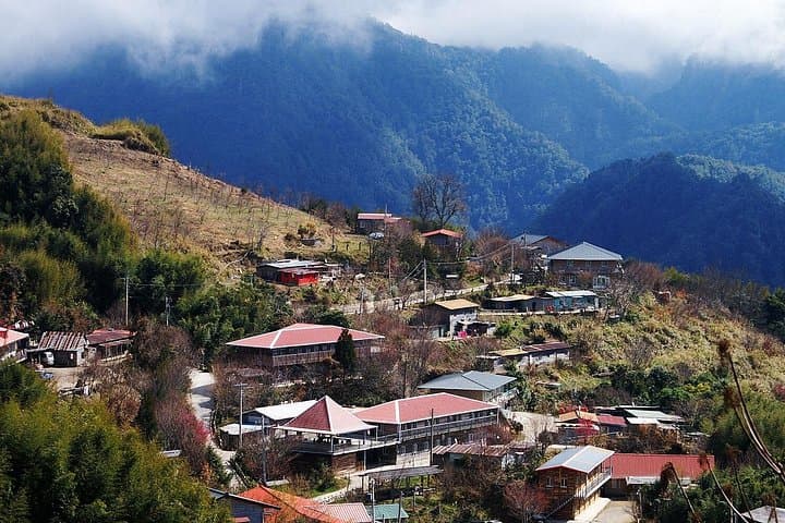 2-Day Smangus Adventure: Ancient Cypress Grove & Atayal Village Stay photo 1