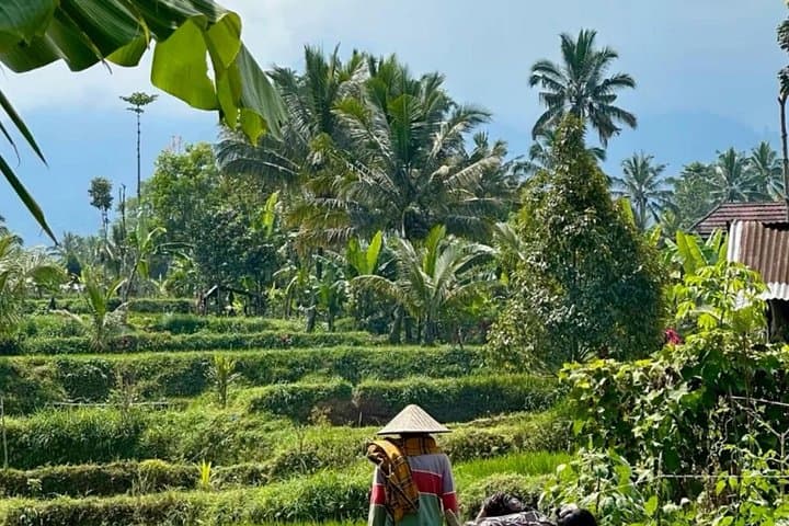 Ubud Countryside Jungle Trek: Ayung River & Rice Terrace Trek with Hotel Transfer photo 2