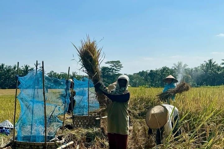 Ubud Countryside Jungle Trek: Ayung River & Rice Terrace Trek with Hotel Transfer photo 3