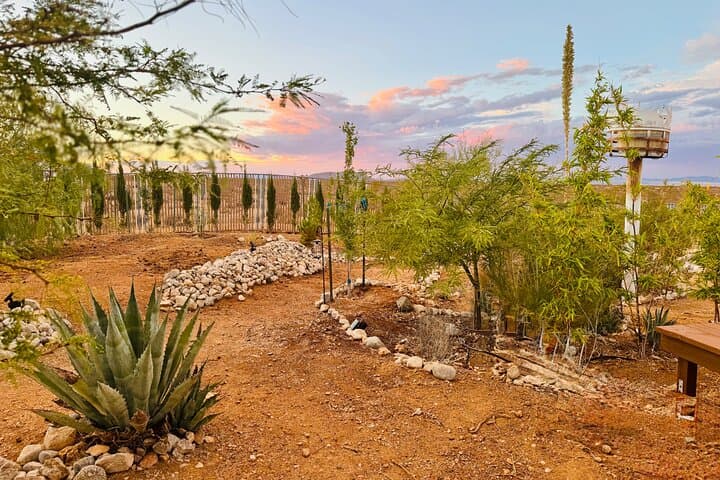 Joshua Tree Soul Reconnection Retreat: Day Retreat & Vortex Healing photo 3