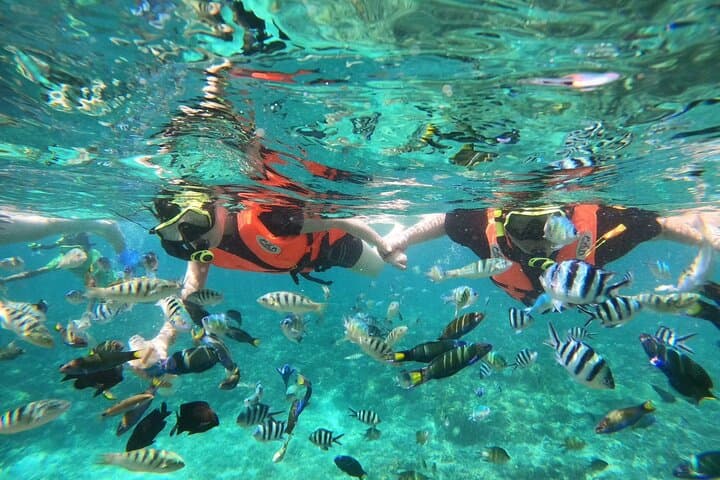 Phi Phi & Bamboo Island Day Trip from Phuket — Snorkel Maya Bay and Bamboo Island
