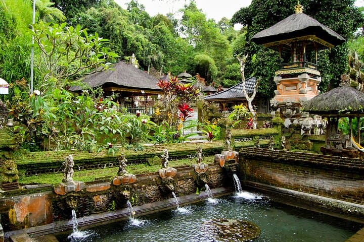 Half-Day Ubud E-Bike to Gunung Kawi Sebatu: Rice Terrace Ride & Temple Purification