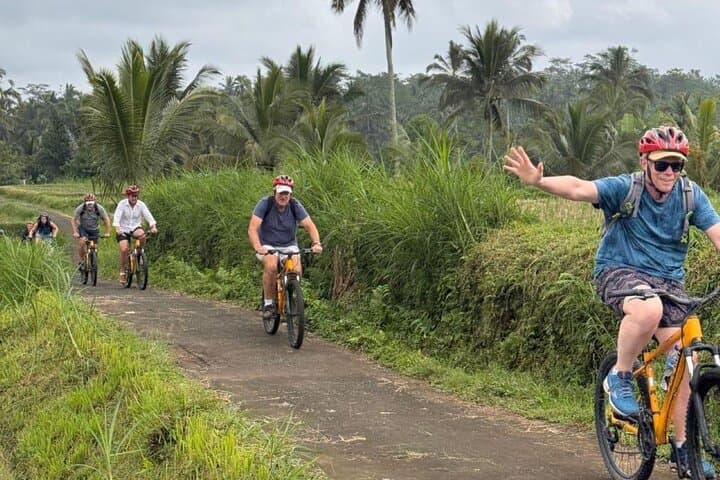 Half-Day Ubud E-Bike to Gunung Kawi Sebatu: Rice Terrace Ride & Temple Purification photo 5