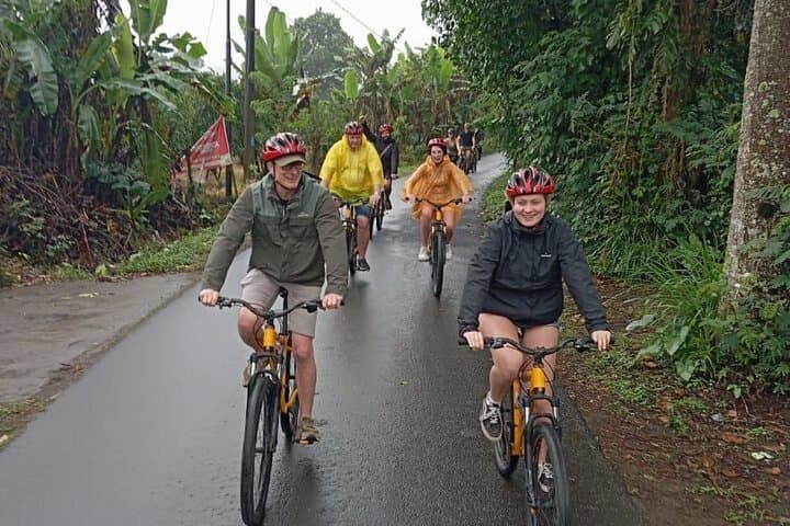 Half-Day Ubud E-Bike to Gunung Kawi Sebatu: Rice Terrace Ride & Temple Purification photo 6