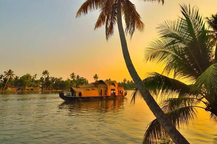 6-Day Kerala Tour: Munnar, Thekkady, Alleppey & Kovalam Beaches photo 3