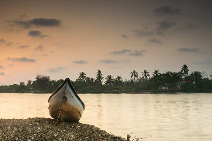 6-Day Kerala Tour: Munnar, Thekkady, Alleppey & Kovalam Beaches photo 4
