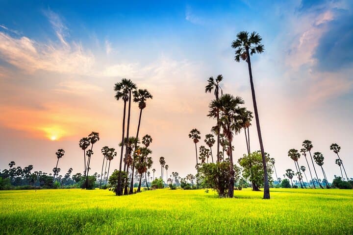 6-Day Kerala Tour: Munnar, Thekkady, Alleppey & Kovalam Beaches photo 6