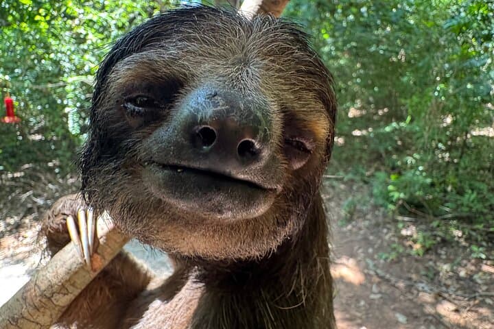 Roatán Private Tour: Sloth & Monkey Sanctuary with West Bay Beach Day Pass