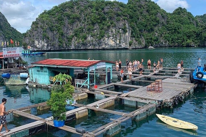 3D2N Cat Ba & Lan Ha Bay: Homestay, Cruise, Kayaking & Bioluminescent Night photo 3