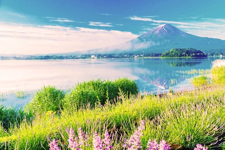 Private Mt Fuji Day Tour from Tokyo — Premium Comfort Ride to Kawaguchiko & Fujinomiya photo 3