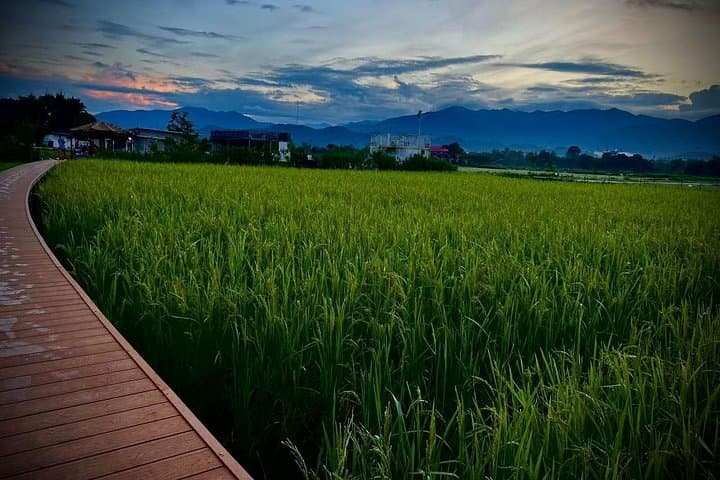 Vientiane to Vang Vieng: Full-Day Zipline, Caves, Kayak and Paragliding Adventure photo 4