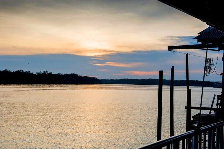 Klias River Firefly Cruise with Dinner from Kota Kinabalu photo 6