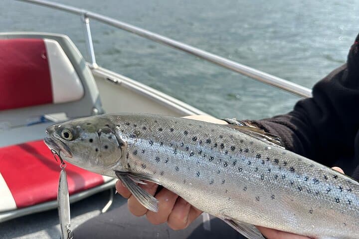 Lake Como Private Fishing: Half- or Full-Day Guided Boat Trip photo 2