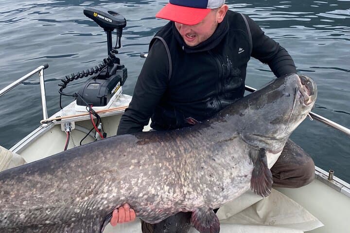 Lake Como Private Fishing: Half- or Full-Day Guided Boat Trip photo 5
