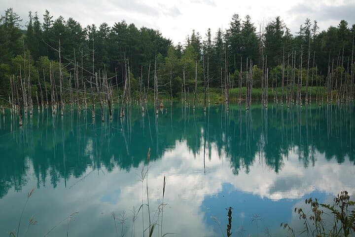 Private Hokkaido 5-Day Guided Tour: Hakodate, Sapporo, Lake Toya & Noboribetsu photo 2