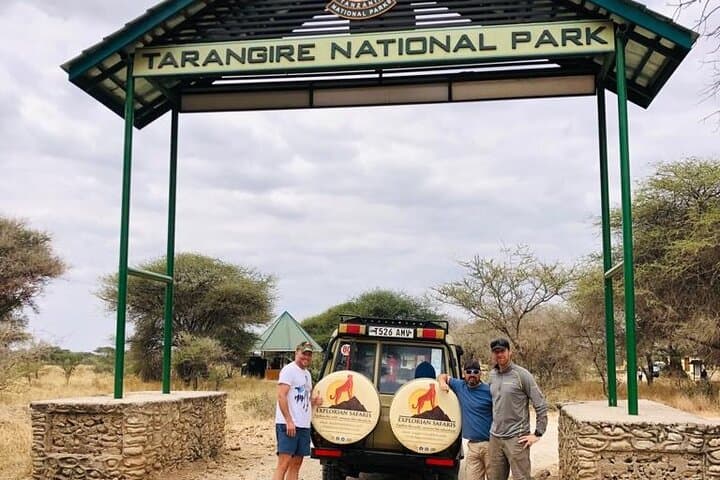 One-Day Tarangire Safari: Close Encounters with Africa’s Giant Elephants photo 3