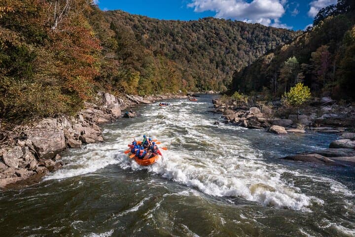 Lower Gauley River Whitewater Rafting — Class IV–V Rafting Near Lansing, WV photo 5