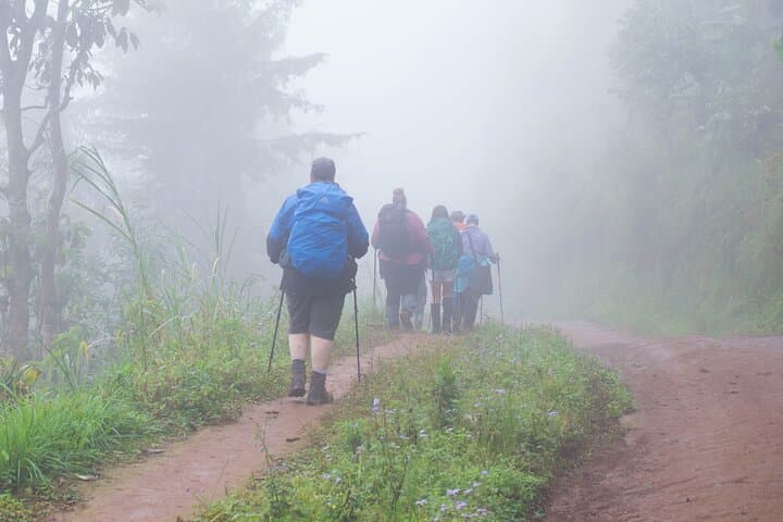 Machame Route 7-Day Kilimanjaro Trek: Guide to Summit via Whisky Route photo 2