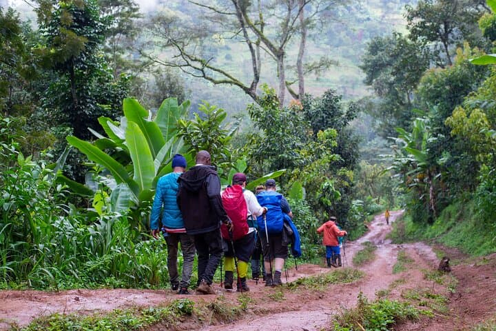 Machame Route 7-Day Kilimanjaro Trek: Guide to Summit via Whisky Route photo 4
