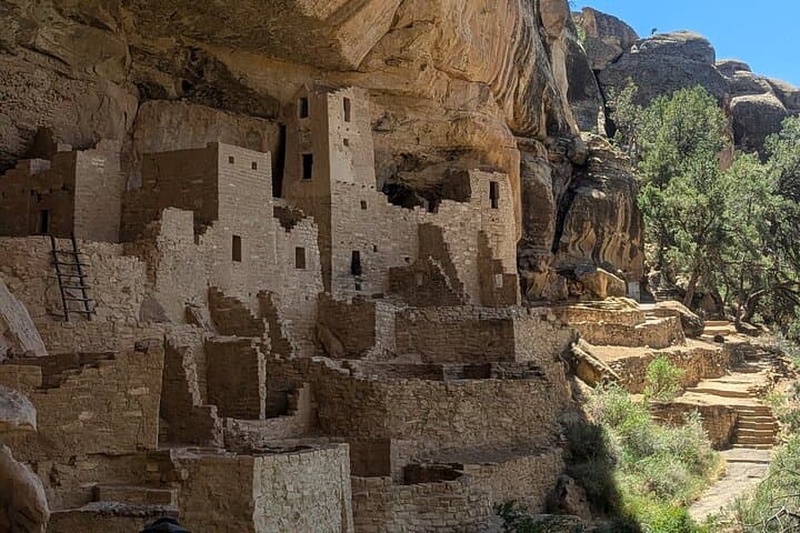 Mesa Verde Express Tour: Ranger-Led Cliff Palace Experience from Durango photo 3
