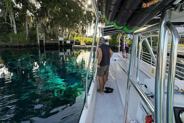 Crystal River Manatee Viewing Cruise — Kings Bay Wildlife Boat Tour photo 3