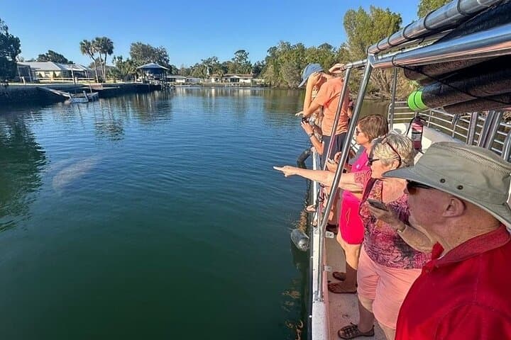Crystal River Manatee Viewing Cruise — Kings Bay Wildlife Boat Tour photo 2