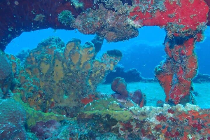 Anguilla 2-Tank Guided Dive: Morning Reefs & Shipwrecks with Scuba Shack photo 3